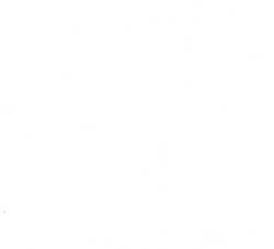 NightStrike